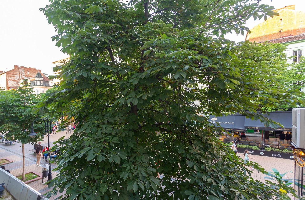 סופיה Central Vitosha Apartment מראה חיצוני תמונה